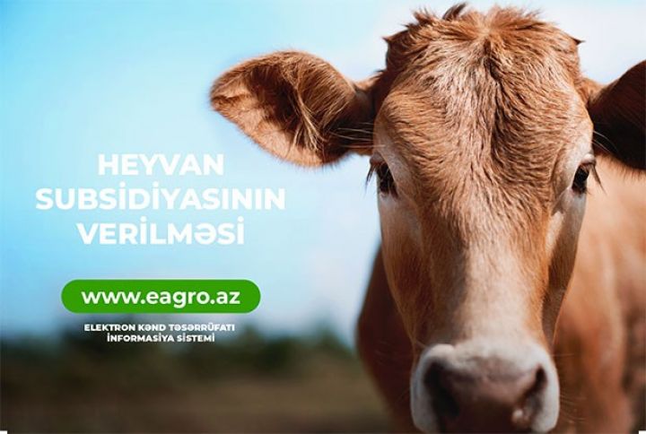 Fermerlər heyvandarlıq subsidiyalarını da SİS vasitəsilə alacaqlar