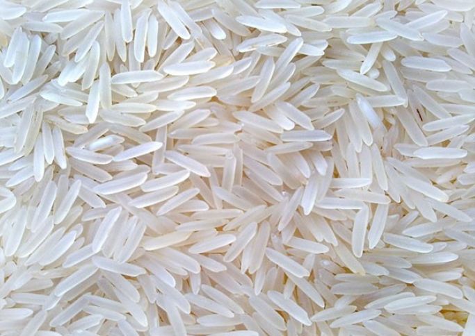 Düyü istehsalı azalıb