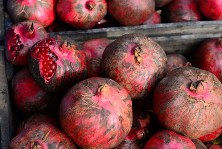 Yelo Bank nar istehsalçılarını və ixracatçılarını dəstəkləyəcək - MÜQAVİLƏ