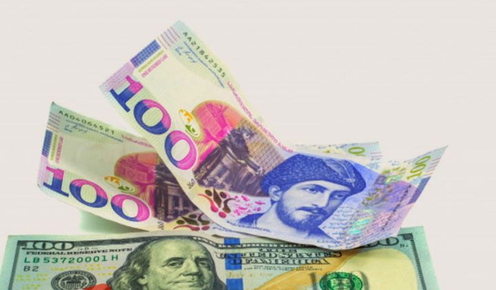 Gürcüstan larisi ucuzlaşmaqda davam edir