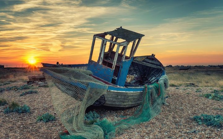 Azərbaycanda ov üçün istifadə olunan sintetik torların satışı qadağan edilir