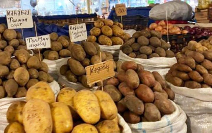 Bakı bazarlarında yerli kartof 30-40 qəpik bahalaşıb