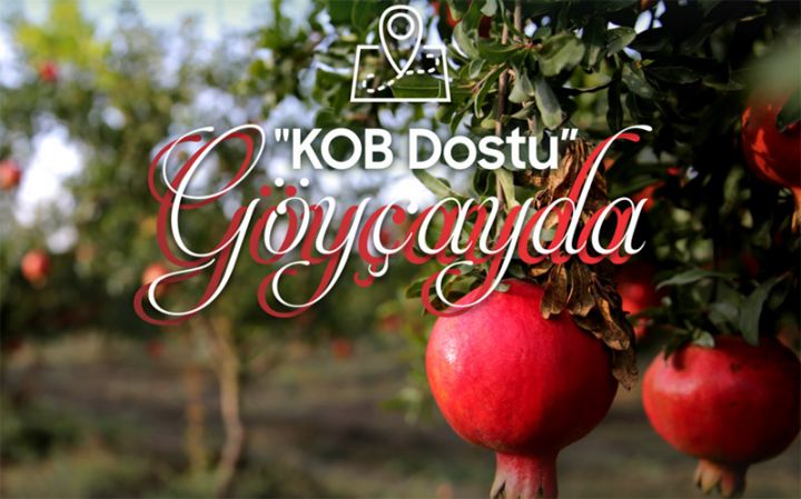 Göyçayda KOB Dostu fəaliyyətə başlayıb