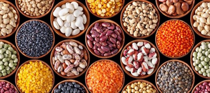 Naxçıvanda toxum fondu yaradılacaq