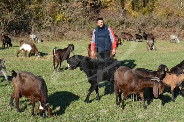 Biznesinə 2 keçi ilə başladı, indi Dağıstanda da ət satır