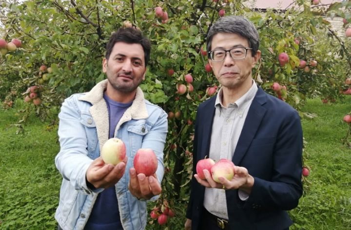 Yaponiyanın səfiri qubalı bağbanın qonağı oldu - "YERLİ MƏHSULDAN BAHADIR"