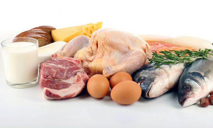 Qida Təhlükəsizliyi Reyestri yaradılır