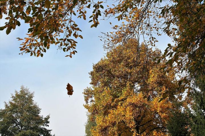 Noyabrın 5-də gözlənilən hava şəraiti açıqlanıb