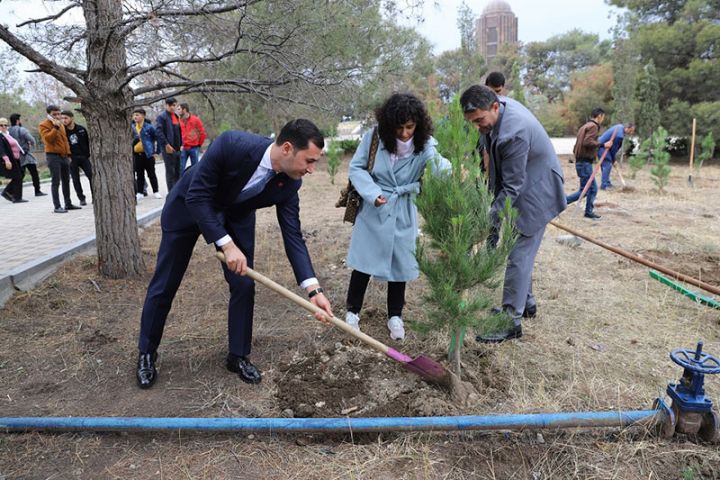 Birbank istifadəçilərinin dəstəyi ilə Gəncədə ağacəkmə aksiyası keçirildi