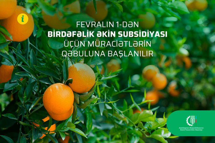 Fevralın 1-dən birdəfəlik əkin subsidiyası üçün müraciətlərin qəbuluna başlanılır