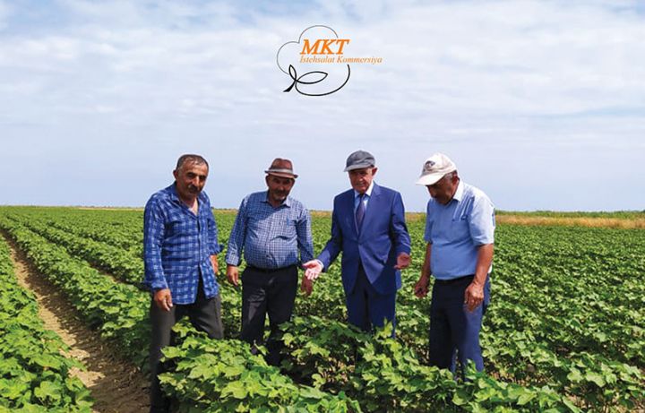 "Bu il əkin zamanı çətinliklər oldu, buna baxmayaraq çalışırq hədəfə çataq" - MÜSAHİBƏ