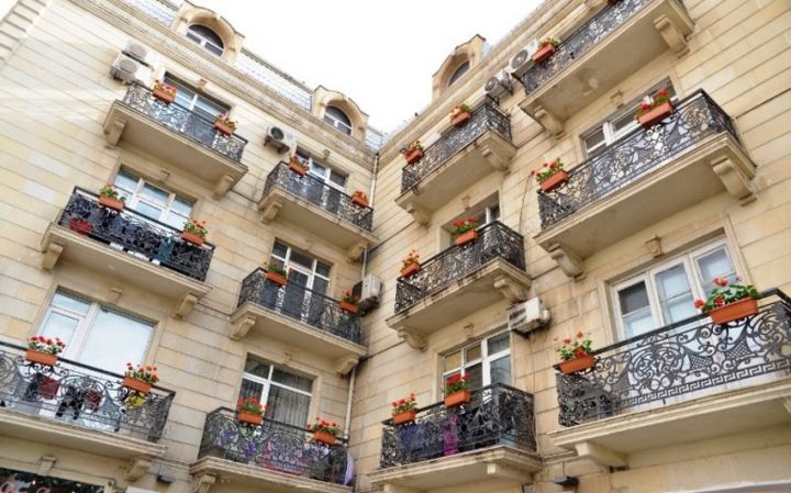 Binalarda dibçəklərin yerləşdirilməsi ilə bağlı Bakı sakinlərinə çağırış edildi