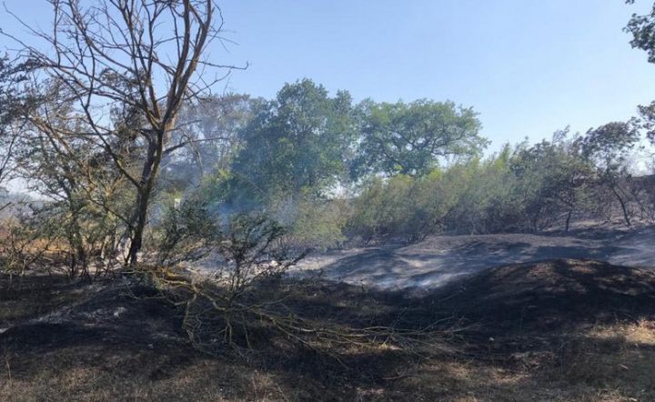 Nabranda yanğın - helikopter cəlb edilib