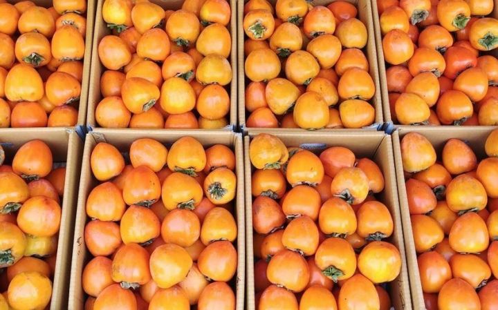 Azərbaycanın Ukraynaya ixrac etdiyi xurma Rusiyaya göndərilir