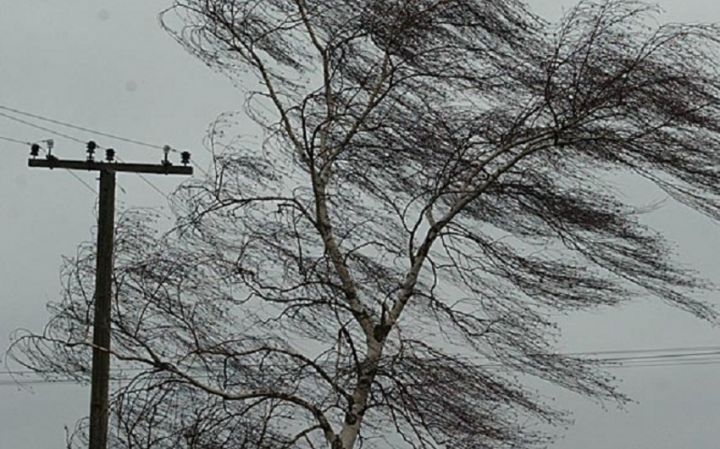 Sabah bəzi bölgələrdə güclü külək gözlənilir - XƏBƏRDARLIQ