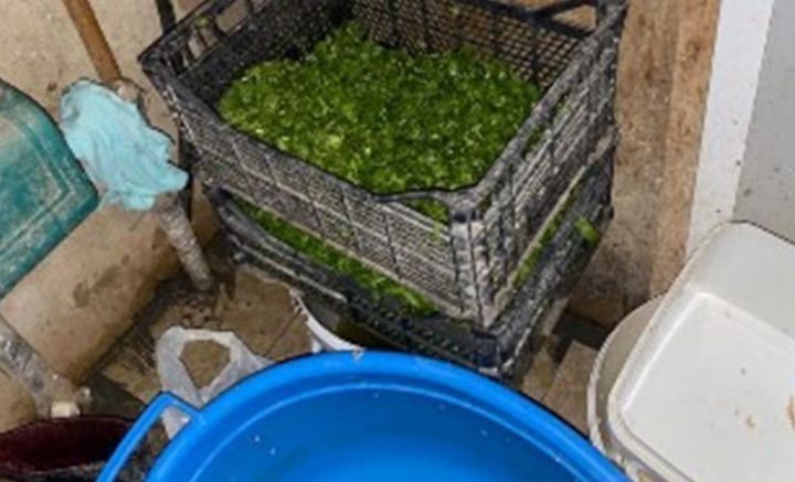 Bakıda təndir evinin fəaliyyəti məhdudlaşdırılıb