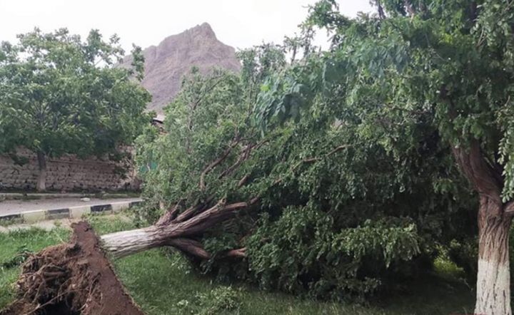 Qasırğa Ordubada ciddi ziyan vurub