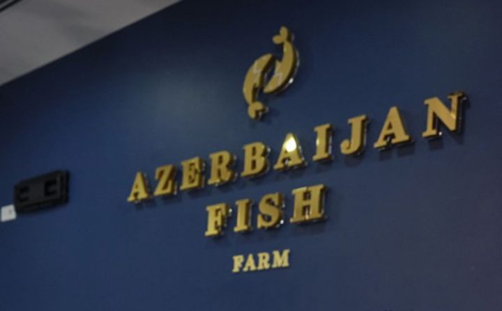 Azərbaycanın kürü istehsalçısı idxal və ixrac üzrə mütəxəssis axtarışındadır