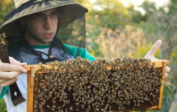 Arıçılıqda istifadə olunan avadanlıq və texnikaya güzəşt tətbiq ediləcək