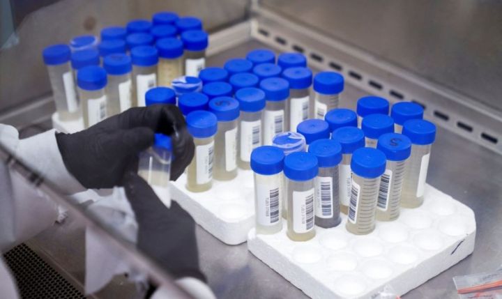 Azərbaycanda koronavirus ilə bağlı son vəziyyət açıqlandı