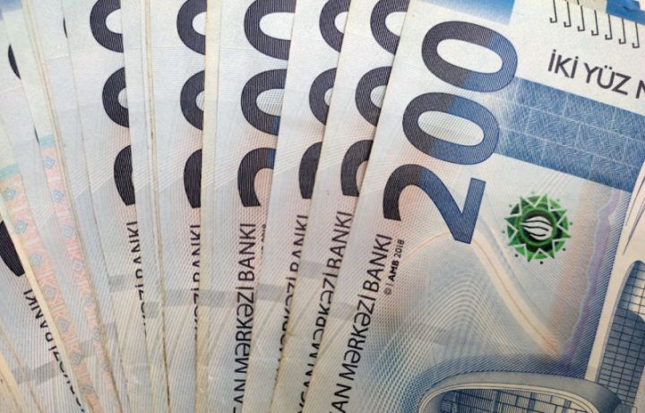 "Araz Vadisi İqtisadi Zonası"nın rezidenti nizamnamə kapitalını 3 dəfə artırıb