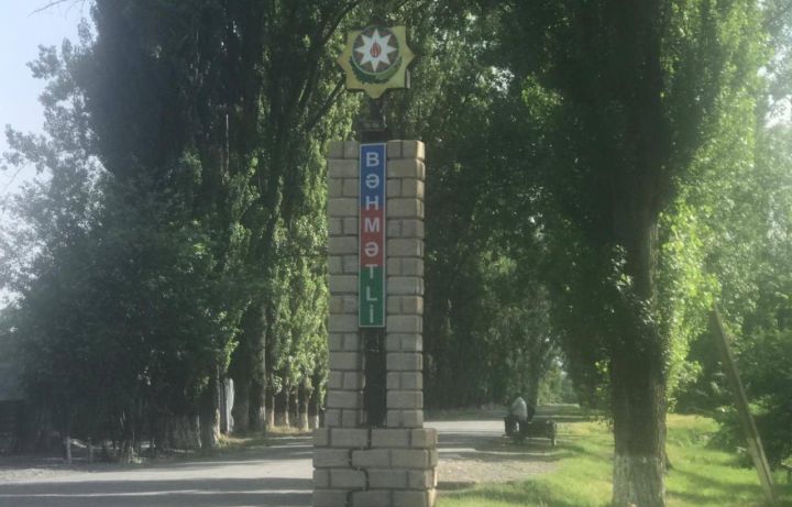 97 ağac qanunsuz kəsilib, təbiətə 200 min manatdan artıq ziyan vurulub