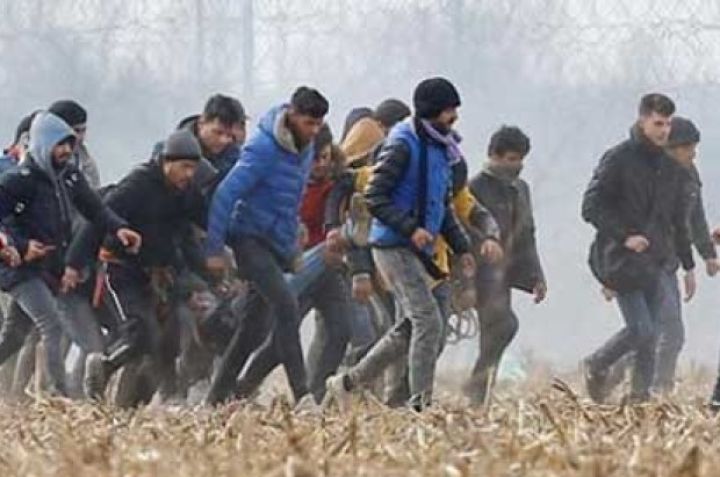 910 qanunsuz miqrant saxlanılıb