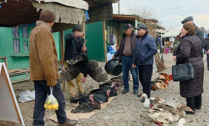 Qaz və ördəyin qiyməti keçən bayrama nisbətən aşağıdır