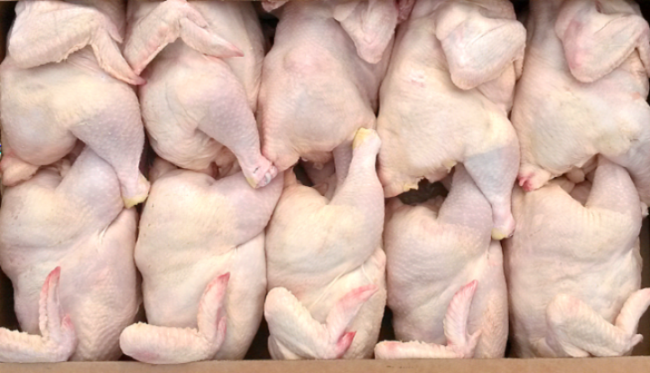 "Quş əti sektorunda bazar payımız 25% civarındadır"