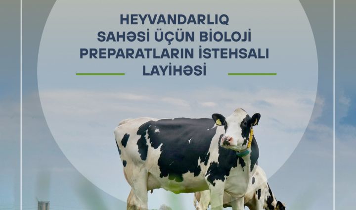 Azərbaycanda heyvandarlıq sahəsi üçün bioloji preparatların istehsalı yaradıla bilər - ANLAŞMA