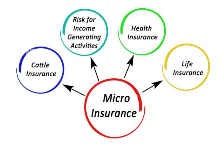 "2023-cü ildə mikro sığortalar üzərində işləyəcəyik"