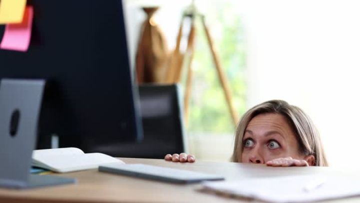 Bir sıra karqo şirkətinin təhvil məntəqələri lisenziyasız fəaliyyət göstərir - "Məntiqsiz halla üzləşmişik”