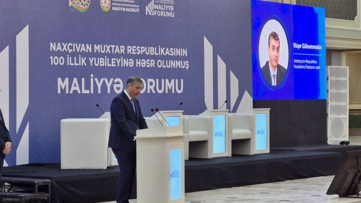 "Naxçıvanda aparılan auditlər və təhlillər bəzi sahələr üzrə irəliləyişlərin olduğunu göstərir"