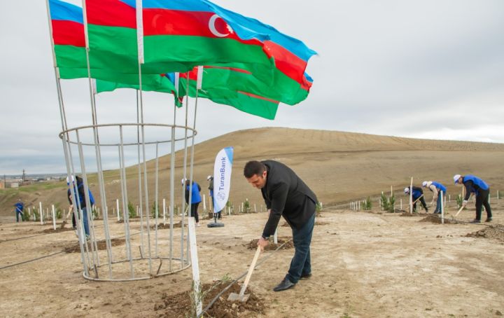 TuranBank ağacəkmə aksiyası təşkil edib