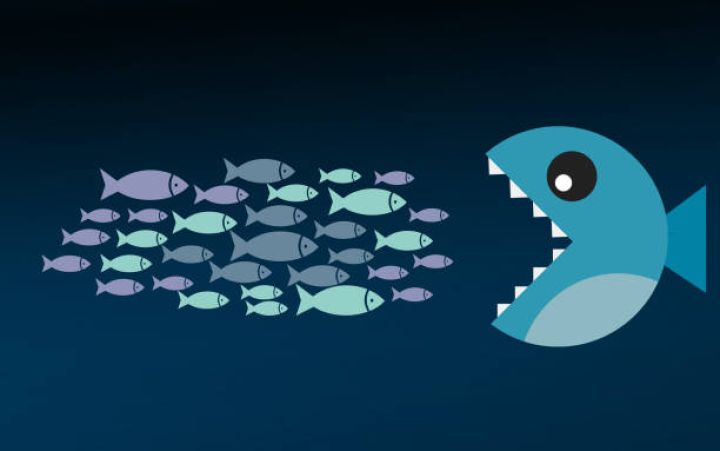 Dövlət Xidməti:  İqtisadi təmərküzləşmə ilə bağlı baxılan müraciətlərin sayı 3 dəfəyədək artıb - 72 MÜRACİƏT