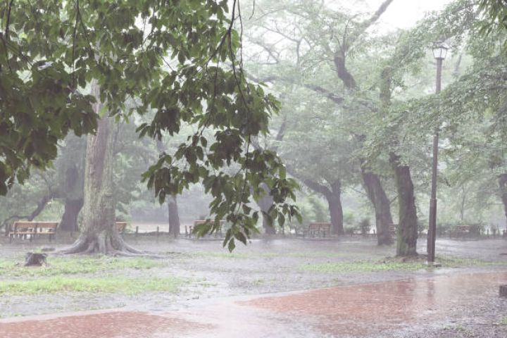 Sabah dolu düşəcəyi və yağış yağacağı gözlənilir - HAVA PROQNOZU