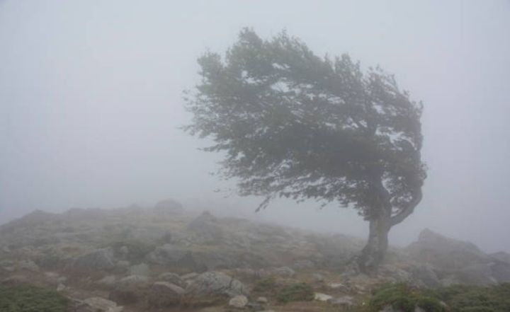 Növbəti iki gündə güclü külək əsəcək - XƏBƏRDARLIQ