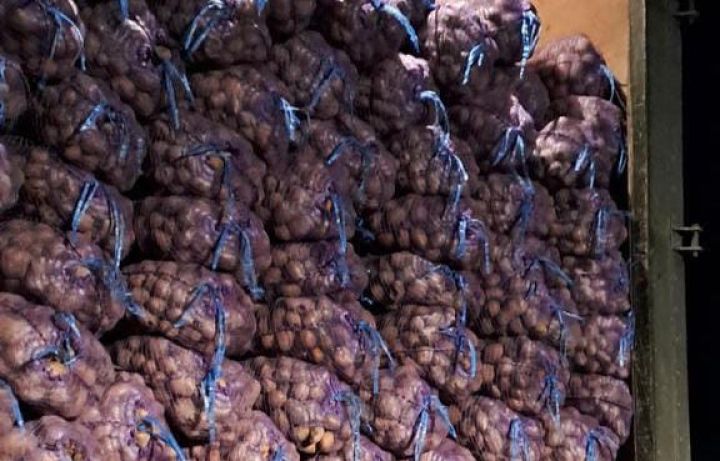 Azərbaycan İrandan gətirilən 47 ton kartofu məhv etdi