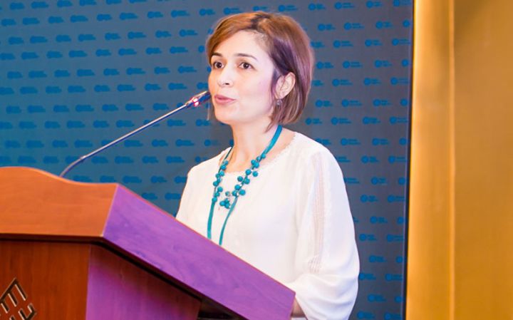 "İnsanların və bizneslərin sığortaya daha çox maraq göstərməsi üçün yeni həllər üzərində işləmək lazımdır"