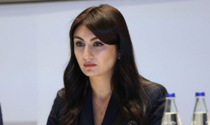 “Azərbaycanda vergi güzəştlərini yenidən çeşidləyəcəyik” - MÜSAHİBƏ