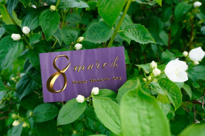 8 mart günü Azərbaycanda 22 dərəcə isti olacaq