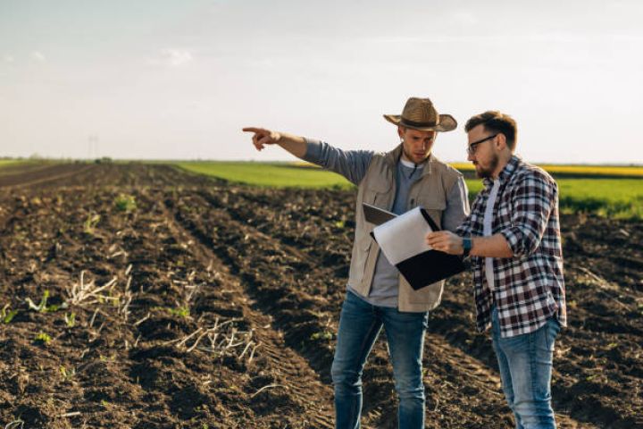 Mülkiyyətindəki torpaqlarda çalışanlar üçün sosial sığorta haqları artırılacaq