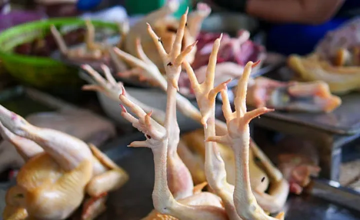 "Quş əti istehsalçıları avadanlıq idxalının 40 %-nin subsidiyalaşdırılmasından yararlana bilmirlər"