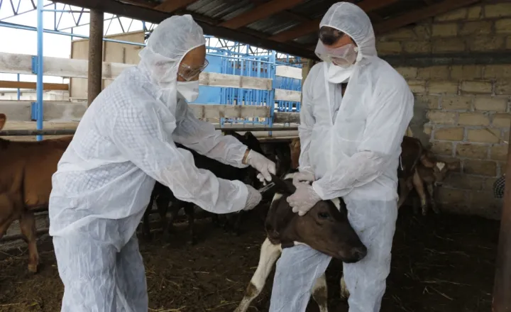 "Regionlarda baytar və özəl baytarların işlərinə də nəzarət yoxdur"
