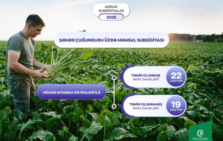 Şəkər çuğundurunun istehsalına görə verilən subsidiyanın miqdarı artırılıb