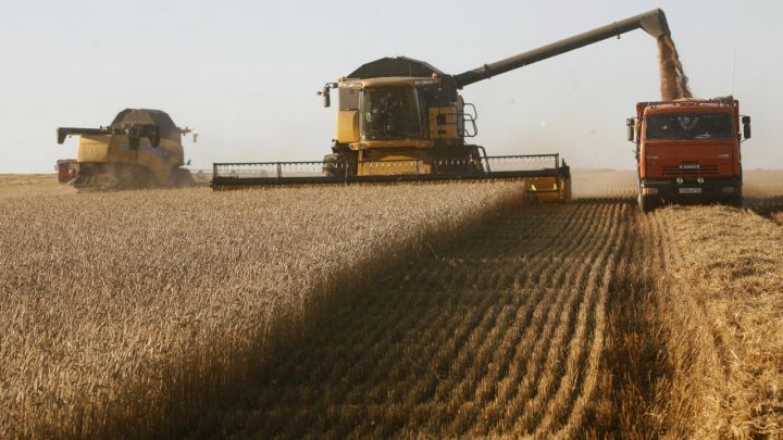Qazaxıstan taxıl ixracında 13 milyon ton hədəfinə yaxınlaşıb
