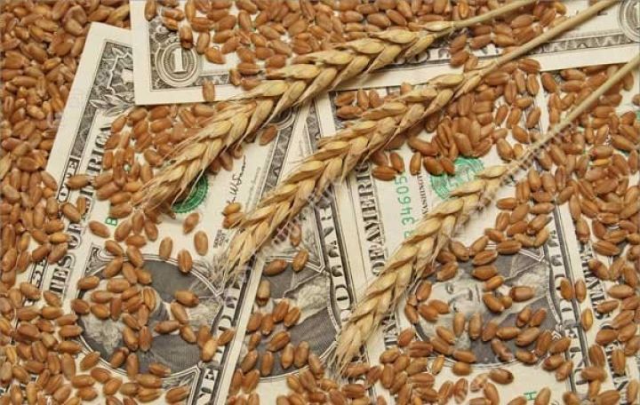 Buğda idxalı 2,7% azalıb