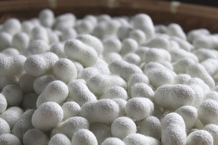 Baramaçılar aylardır bu xəbəri gözləyirdi