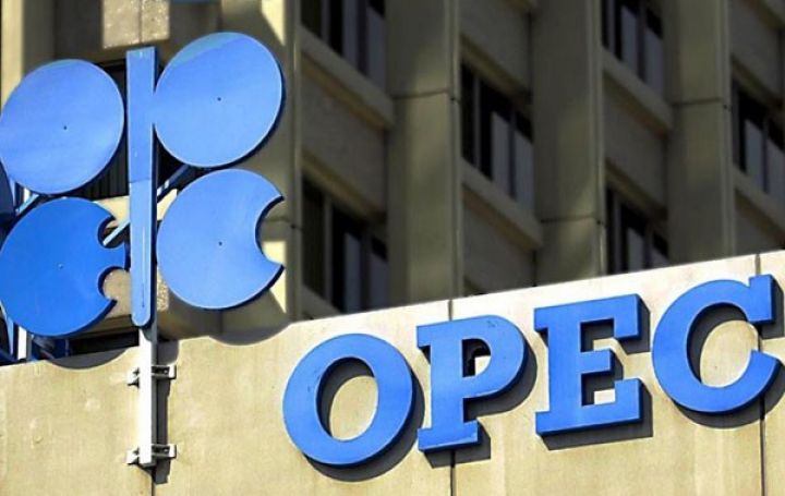 OPEC-in neft hasilatı azalıb