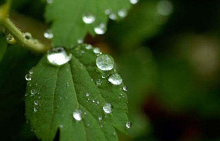 Sabaha olan hava proqnozu açıqlanıb